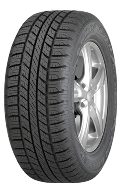 Pneu Goodyear 255/65R16 109H